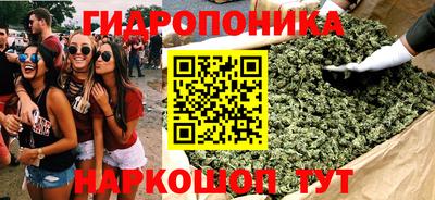 ECSTASY Гатчина