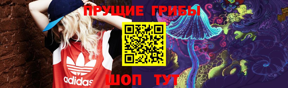 Галлюциногенные грибы прущие грибы Шелехов
